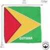 Savour Guyana